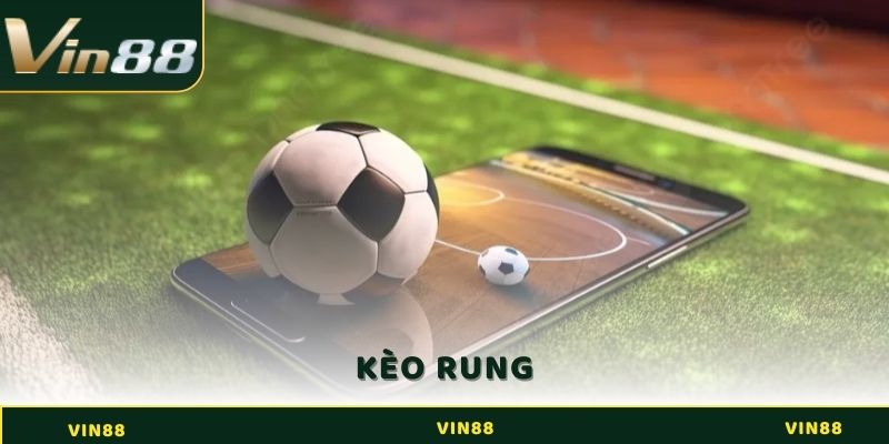 Tất Tần Tật Về Kèo Rung - Cách Chơi Thắng Chắc Tại Vin88 1 kèo rung